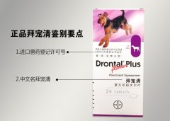 �ݳ���ʹ�÷������ݳ�����ô�ԣ�