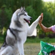 ��ʿ��Ա����ô�죨ͼ��