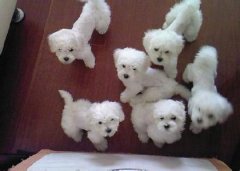 ����Ӫ��ȱ����ô�죿��ͼ��