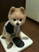 �������������ô�죨ͼ��