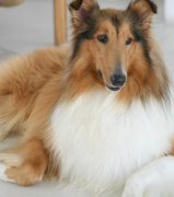 ������ë��ô�죨ͼ��