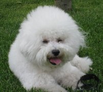 ���ܵ�ë��ô�죿��ͼ��