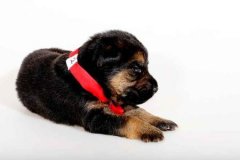 ������ҧ������ô���£���ͼ��