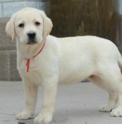 ��ô���������ಹ�ƣ�ͼ��