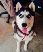 ʲô���Ĺ�����Ҫ���ƣ�ͼ��