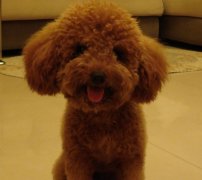 �������Ӳ�����ô��?��ͼ��