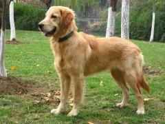  �����������ʲô���ã���ͼ��