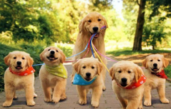 ��������Ӳ��ô����