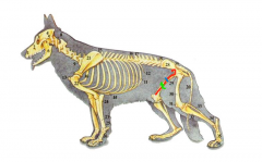 ��������������ô��