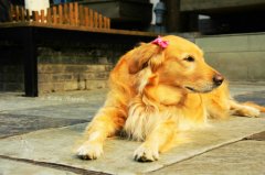 ���������ë��ô�죿��ͼ��