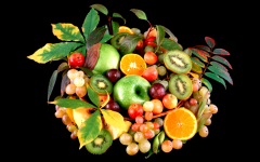 ��������ά���ص���Ҫ�ԣ�ͼ��