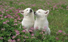 ������������ô�죨��ͼ��