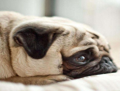 ����Ż����ϡ��ʲôҩ��