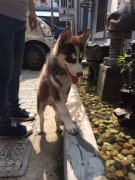 ������С��ʲô�ã�ͼ��