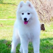 ��ô���������ƺã�ͼ��