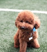 �����������Ͳ���ô�죿