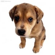 ������ϡ�»�ˮ��ô�죿��ͼ��