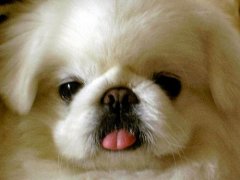 ����˯��ĥ����ô���£�