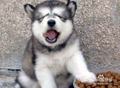 ��λ������������ݣ�