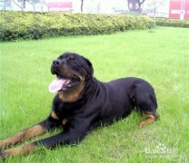 ��������վ��������ô�죿