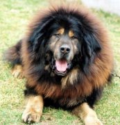 ����ȱ�Ƶ�֢״����Щ����ͼ��