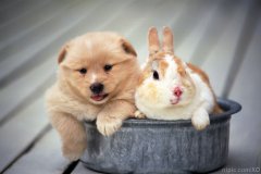 ��������ȱ����ô�죿