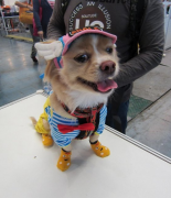 ����Ϊʲô������ô��Ƥм�أ�����Ƥм����