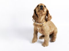 �������໻���ڳ�ʲô��