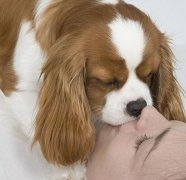 ������Ȧ����ô�죿����Ϊʲô��Ȧ��