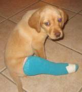 ��ë��Ȯ���Ƴ�ʲô�ã���ë��Ȯ��ô����