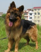 ����ʲôʱ����Ҫ���ƣ���ͼ��