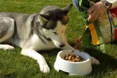 ��ʿ���Ȯ��β��ƣ�