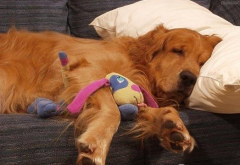 ������θ������ô����