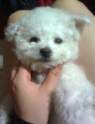 ����o������ô����