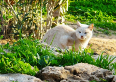 è���������ô��