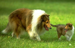 ������θ������ô��