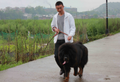 �������������ô���£�