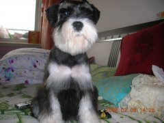 ������ë��ʲô����ë����δ���Ȯë���⣿