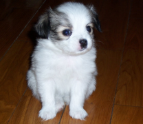 ������θ���õ�ԭ��