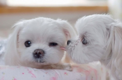 ����X����ô��