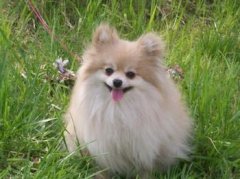 �ӹ����ı�㿴�������⣨ͼ��