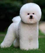 �����������ô�죿�����۾���۵��γ�����