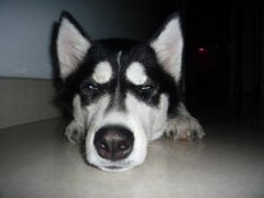 ���������ʿ��Ӫ���ͣ�ͼ��