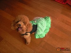 ��ô�����̩�ϲ��ƣ�