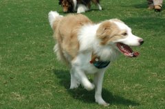 ʲôʱ����Ҫ���������ƣ�