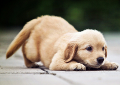 ������ʲô��