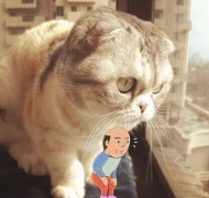 �������Գ�θ����ô��