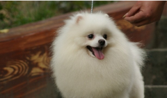 �����»�ˮ��ô�죿