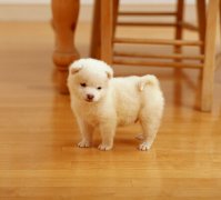 �����ܺ��˺ȵ��̷���ͼ��