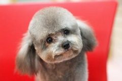 ���������ʳ���Ĵ����У�ͼ��